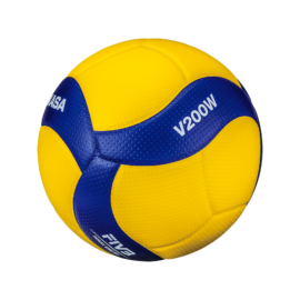 Volley Ball